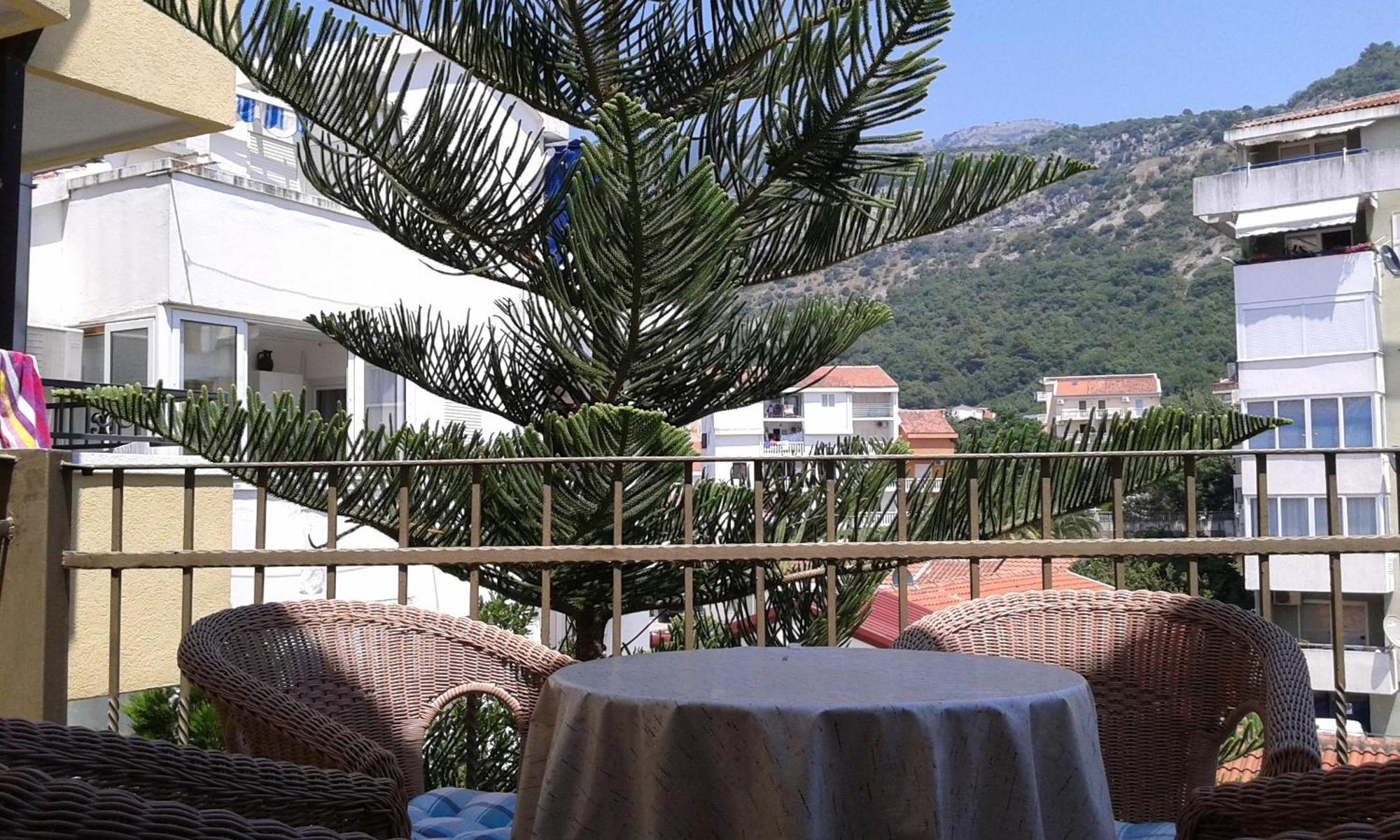 Egon Apartments Budva Rum bild